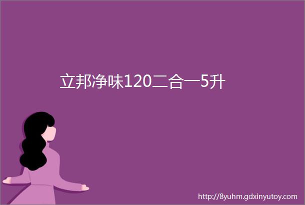 立邦净味120二合一5升