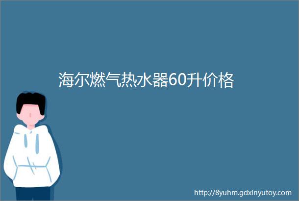 海尔燃气热水器60升价格