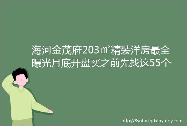 海河金茂府203㎡精装洋房最全曝光月底开盘买之前先找这55个细节